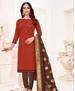 Picture of Enticing Brown Straight Cut Salwar Kameez