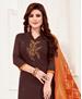 Picture of Superb Brown Straight Cut Salwar Kameez