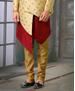 Picture of Charming Beige/Gold Indo Western