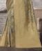 Picture of Comely Chiku Casual Saree