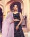 Picture of Excellent Black Lehenga Choli