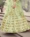 Picture of Appealing Pista Green Lehenga Choli