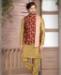 Picture of Ideal Chiku Kurtas