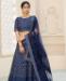 Picture of Appealing Blue Lehenga Choli