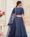 Picture of Appealing Blue Lehenga Choli