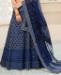 Picture of Appealing Blue Lehenga Choli