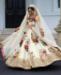 Picture of Lovely Cream Lehenga Choli