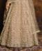 Picture of Amazing Beige Lehenga Choli