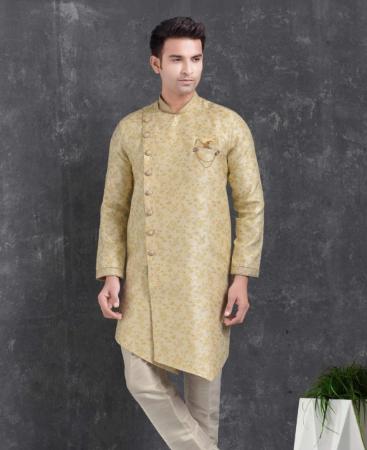 Picture of Elegant Cream Indo Western