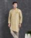 Picture of Elegant Cream Indo Western