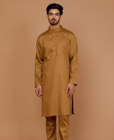 Picture of Resplendent Golden Brown Kurtas