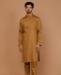 Picture of Resplendent Golden Brown Kurtas