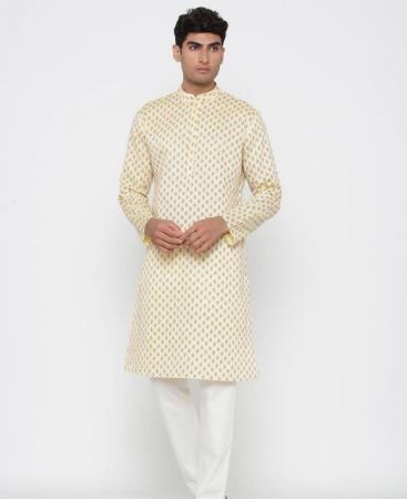 Picture of Excellent Beige Kurtas