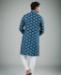 Picture of Elegant Nevy Blue Kurtas