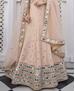 Picture of Sublime Peach Lehenga Choli