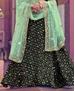 Picture of Magnificent Black Lehenga Choli