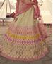 Picture of Resplendent Beige Lehenga Choli