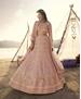 Picture of Shapely Peach Lehenga Choli