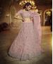 Picture of Elegant Pink Lehenga Choli