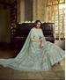 Picture of Stunning Sky Blue Lehenga Choli