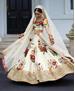 Picture of Lovely Cream Lehenga Choli