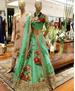 Picture of Gorgeous Green Lehenga Choli