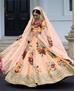 Picture of Classy Orange Lehenga Choli