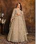 Picture of Amazing Beige Lehenga Choli