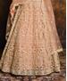 Picture of Fascinating Fawn Lehenga Choli