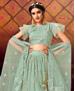 Picture of Exquisite Light Green Lehenga Choli