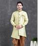 Picture of Ravishing Light Green Indo Western