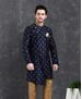 Picture of Statuesque Navy Blue Indo Western