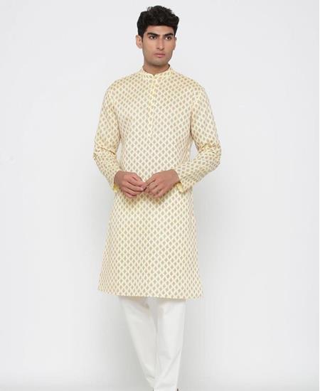 Picture of Excellent Beige Kurtas