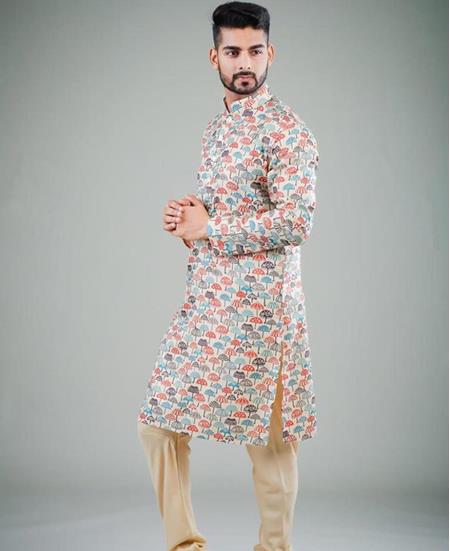 Picture of Radiant Multy Kurtas