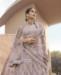 Picture of Fascinating Mauve Lehenga Choli