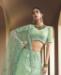 Picture of Pretty Green Lehenga Choli