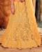 Picture of Elegant Yellow Lehenga Choli