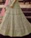 Picture of Alluring Green Lehenga Choli