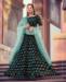 Picture of Magnificent Black Lehenga Choli