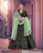 Picture of Statuesque Black Lehenga Choli