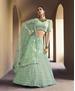 Picture of Pretty Green Lehenga Choli