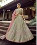 Picture of Graceful Olive Lehenga Choli