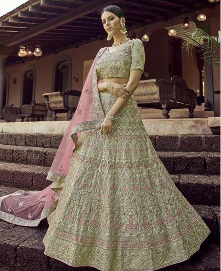 Picture of Lovely Olive Lehenga Choli