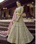 Picture of Lovely Olive Lehenga Choli