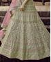 Picture of Lovely Olive Lehenga Choli