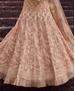 Picture of Marvelous Peach Lehenga Choli