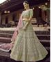 Picture of Alluring Green Lehenga Choli