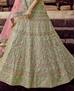 Picture of Alluring Green Lehenga Choli