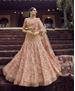 Picture of Pretty Peach Lehenga Choli