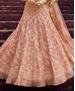 Picture of Pretty Peach Lehenga Choli